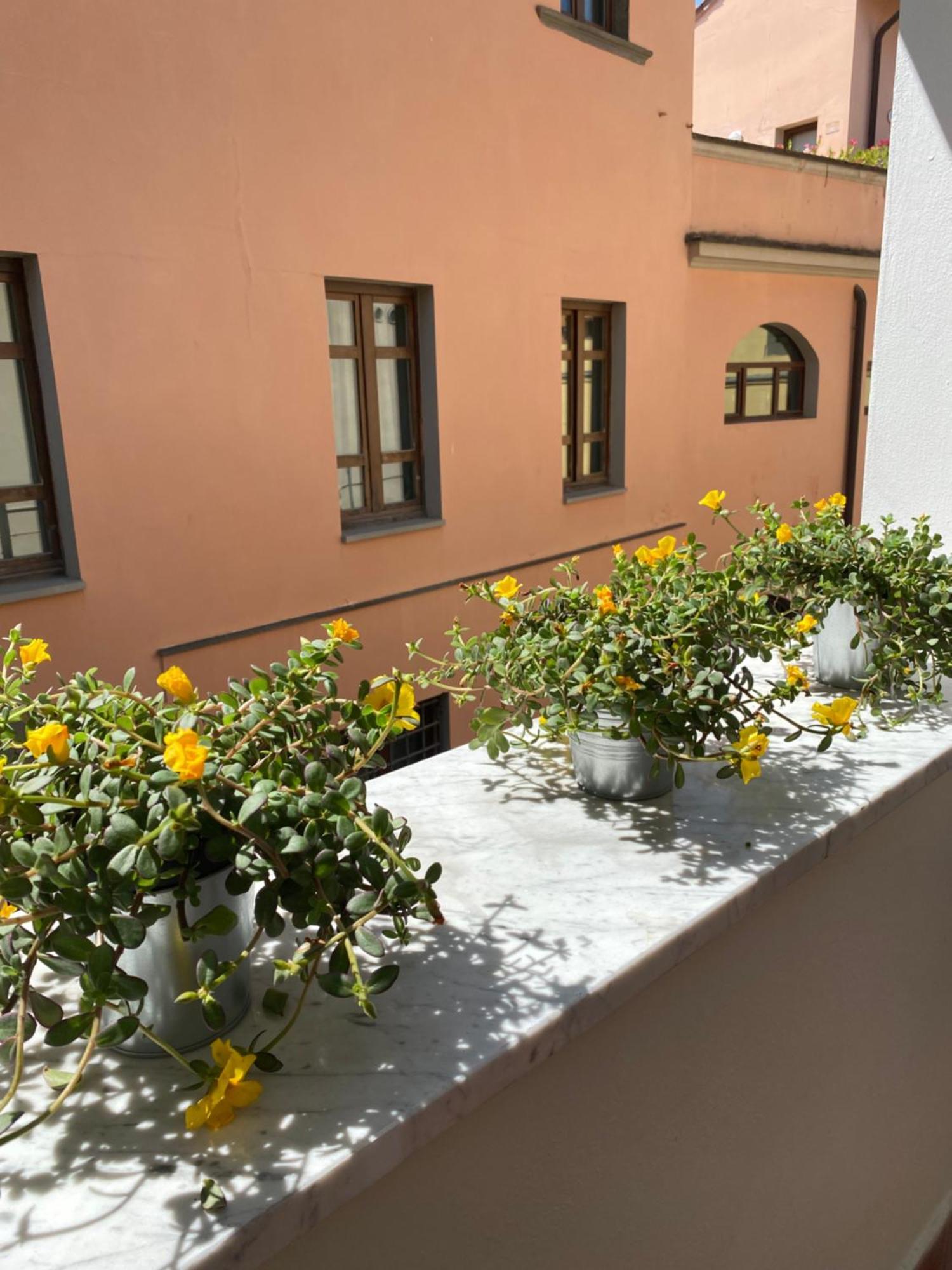 Apartamento Blom Pisa